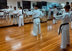 武道空手八島道場の稽古風景｜一般部の突き写真